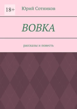 Юрий Сотников Вовка. Рассказы и повесть обложка книги