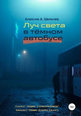 Алексей Шепелёв Луч света в тёмном автобусе