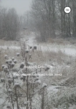 Андрей Соколов Неспящие. Беспокойная зима обложка книги