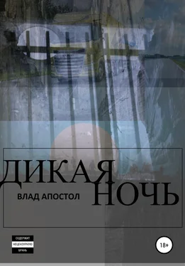 Влад Апостол Дикая Ночь обложка книги