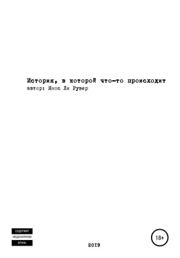 Янос Рувер История, в которой что-то происходит обложка книги