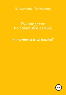 Владислав Пантелеев Руководство по созданию семьи, или В чем смысл жизни? обложка книги