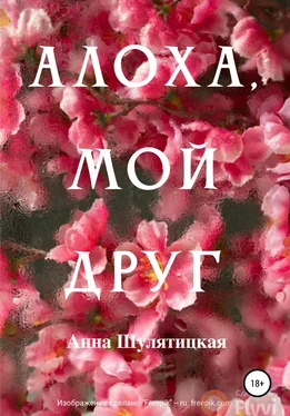 Анна Шулятицкая Алоха, мой друг обложка книги