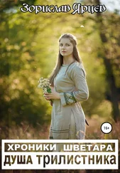 Зорислав Ярцев - Хроники Шветара. Душа трилистника