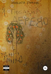 Никита Раков - Я посадил дерево