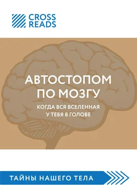 Майя Бызова Саммари книги «Автостопом по мозгу. Когда вся вселенная у тебя в голове» обложка книги