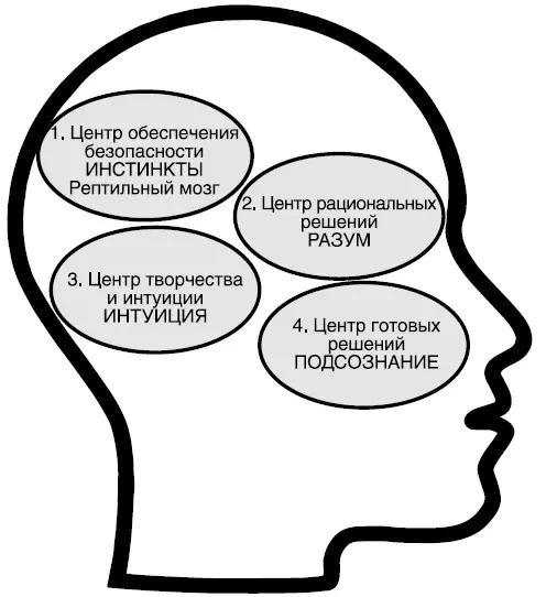 Рис 2Модель управления поведением человека Один из них Рептильный мозг - фото 2