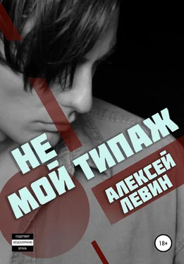 Алексей Левин Не мой типаж обложка книги