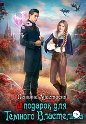Анастасия Пенкина - Не подарок для темного властелина