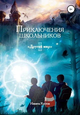 Никита Кустов Приключения школьников «Другой мир» обложка книги