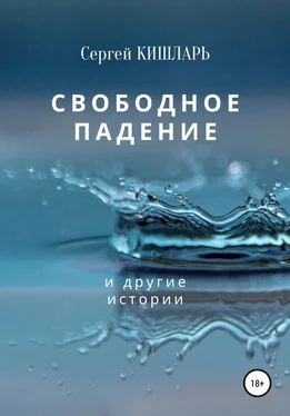 Сергей Кишларь Свободное падение обложка книги