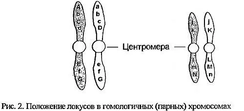 Можно подумать что каждому признаку непосредственно соответствует один - фото 2