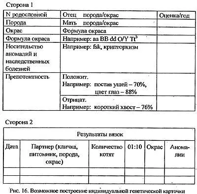 Кроме общих данных о животном кличка пол окрас дата рождения номер - фото 24