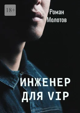 Роман Молотов Инженер для VIP обложка книги