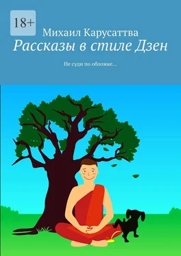 Михаил Карусаттва Рассказы в стиле Дзен. Не суди по обложке… обложка книги