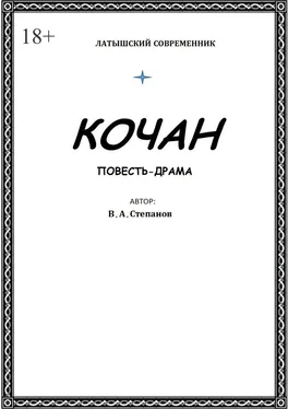 Владимир Степанов Кочан обложка книги