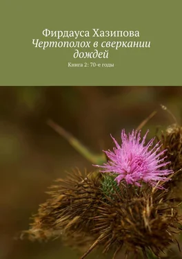 Фирдауса Хазипова Чертополох в сверкании дождей. Книга 2: 70-е годы обложка книги