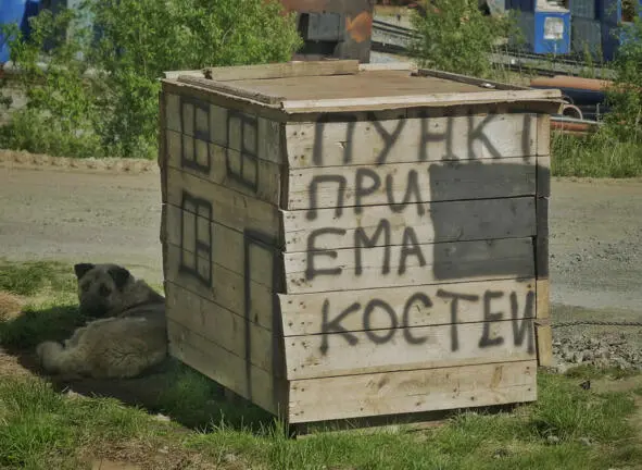 Приёмщик костей Поехали в мастерскую к вездеходу Очень хорошая погода Солнце - фото 81