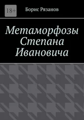 Борис Рязанов - Метаморфозы Степана Ивановича