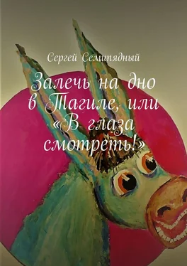 Сергей Семипядный Залечь на дно в Тагиле, или «В глаза смотреть!» обложка книги