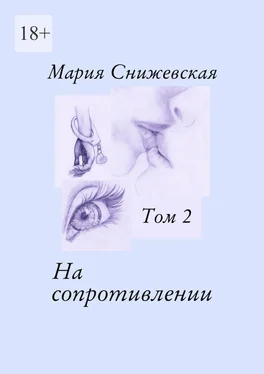 Мария Снижевская На сопротивлении. Том 2 обложка книги