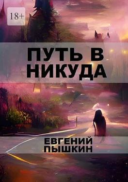 Евгений Пышкин Путь в Никуда обложка книги