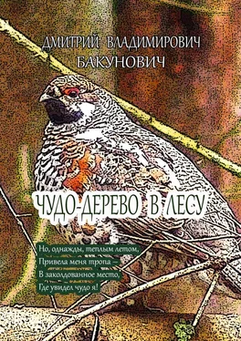 Дмитрий Бакунович Чудо-дерево в лесу обложка книги