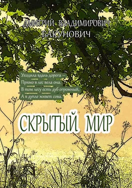 Дмитрий Бакунович Скрытый мир обложка книги