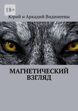 Юрий и Аркадий Видинеевы Магнетический взгляд обложка книги