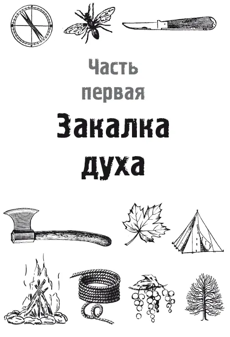Глава 1 ЗНакомство с лесом Успокоение Здесь в тайге время течет поиному - фото 3