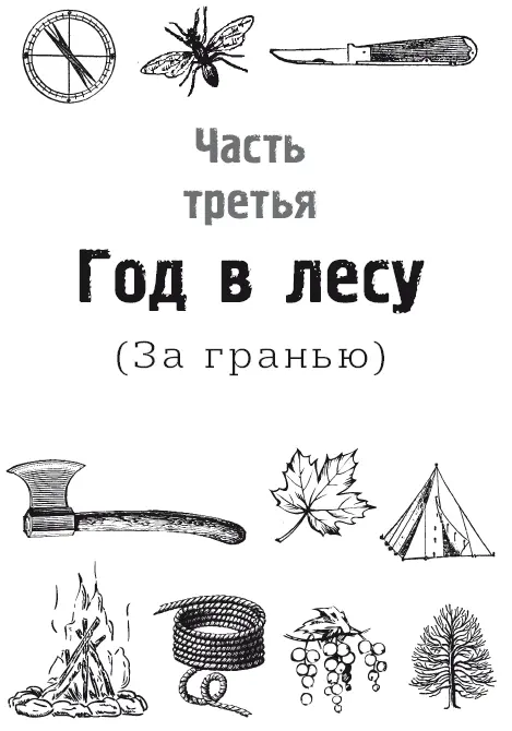 Глава 1 Снежное убежище Самым странным для Максима стало ощущение свалившейся - фото 57