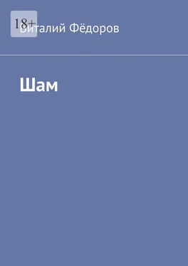 Виталий Фёдоров Шам обложка книги