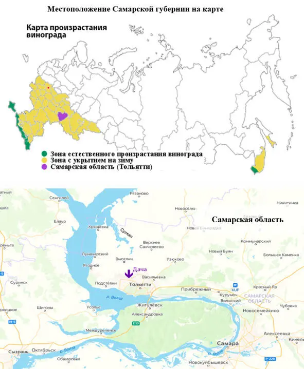 4 Пять соток много это или мало Это с какой точки зрения смотреть С точки - фото 1