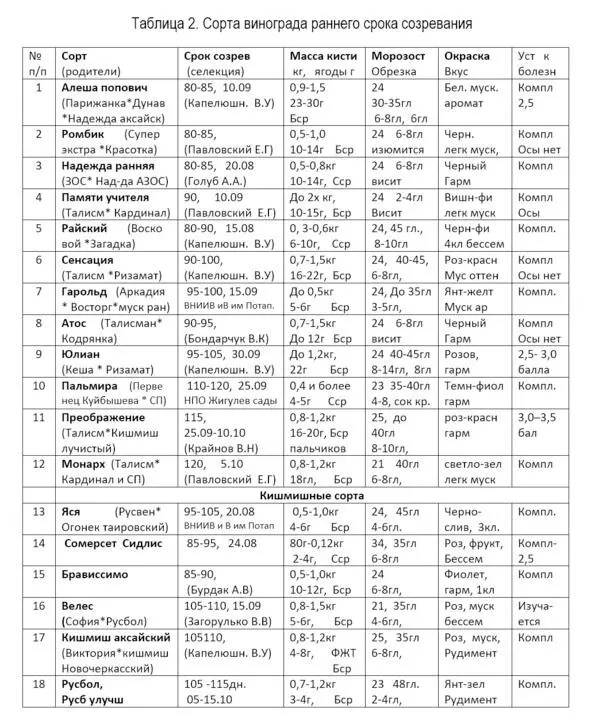 3Общее количество глазков на всех лозах плодоношения и на каждой из них должны - фото 4