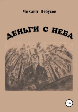 Михаил Цебусов Деньги с неба обложка книги