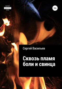 Сергей Васильев Сквозь пламя боли и свинца обложка книги