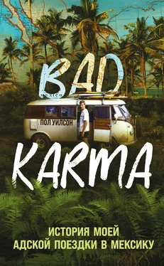 Пол Уилсон BAD KARMA. История моей адской поездки в Мексику обложка книги