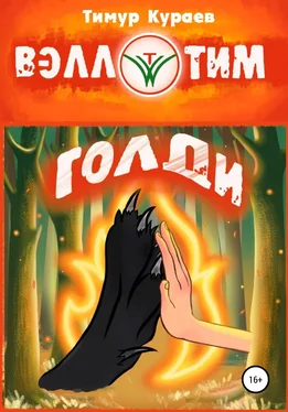 Тимур Кураев Голди обложка книги