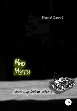 Евгений Семенов Мир Мэгги обложка книги