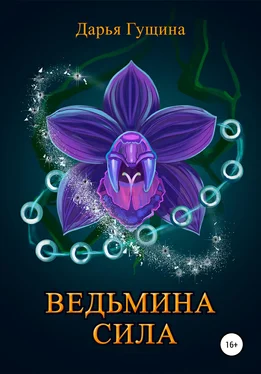 Дарья Гущина Ведьмина сила обложка книги