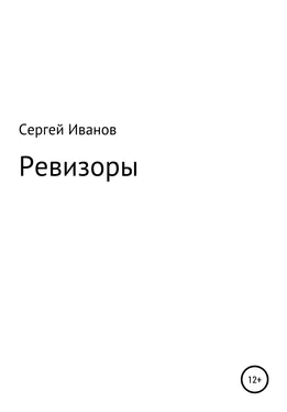 Сергей Иванов Ревизоры обложка книги