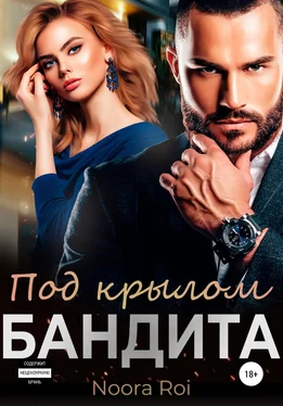 Noora Roi Под крылом бандита обложка книги