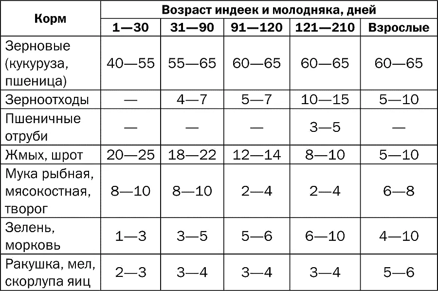 Хорошим зимним кормом для индеек являются сухие веники из молодых веток - фото 3