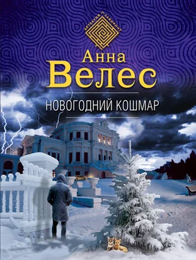 Анна Велес Новогодний кошмар обложка книги