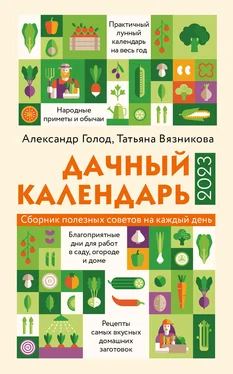 Татьяна Вязникова Дачный календарь 2023 обложка книги