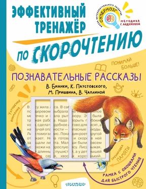 Михаил Пришвин Познавательные рассказы В. Бианки, К. Паустовского, М. Пришвина, В. Чаплиной. Эффективный тренажёр по скорочтению обложка книги