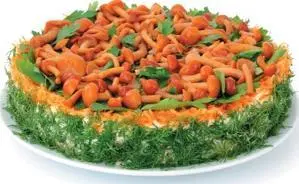 Ингредиенты 400 г отварной куриной грудки 200 г сметаны 200 г майонеза 150 г - фото 19