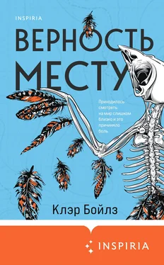 Клэр Бойлз Верность месту обложка книги