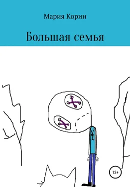 Мария Корин Большая семья обложка книги