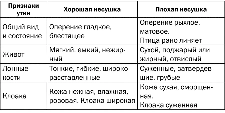 В период яйцекладки хорошая несушка со временем теряет яркую окраску ног и - фото 4